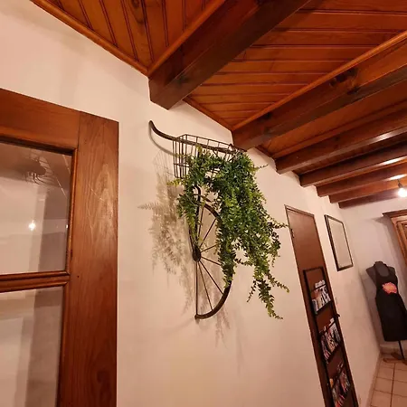 Semesterbostad Le Du Saladou- Cantal *