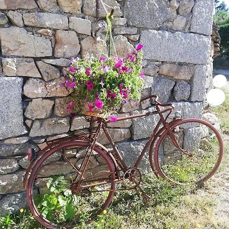 Le Du Saladou- Cantal Val-d'Arcomie
