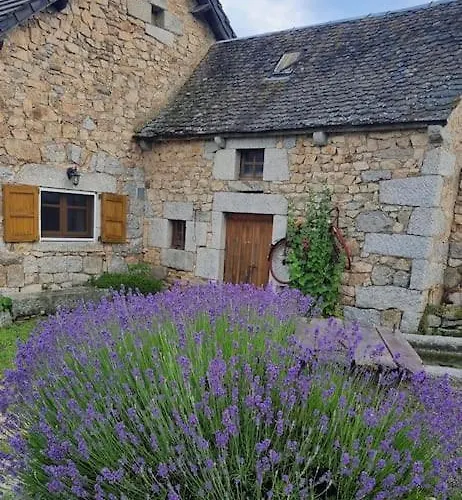 Nyaraló Le Du Saladou- Cantal Val-d'Arcomie