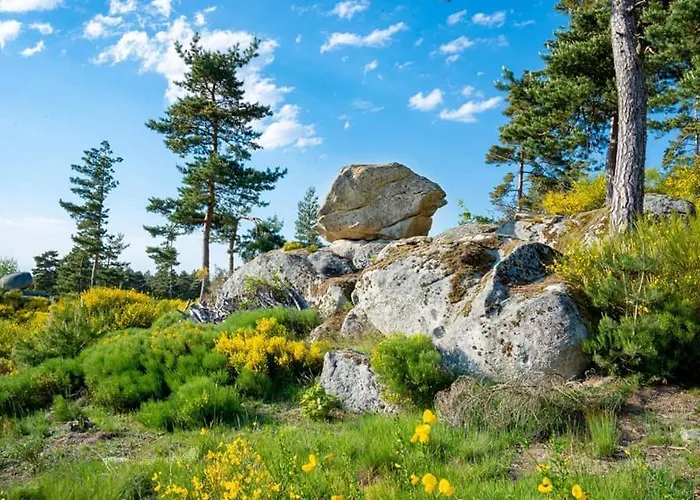 Nyaraló Le Du Saladou- Cantal